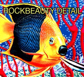 rockbeauty detail