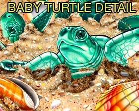 Baby Sea Turtles Detail