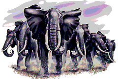 Elephant_Stampede