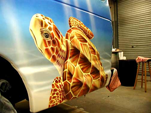 turtle van side