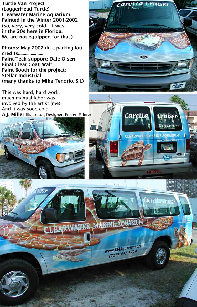 turtle van finish